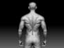 create custom 3d character and collectible figure, articulation for 3d printing