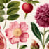 draw a botanical illustration