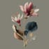illustrate best botanical illustration