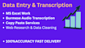 do accurate data entry and burmese audio transcription