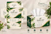 design tissue box, pouch and tissue packet packaging