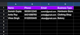 do professional data entry