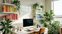 design professional virtual backgrounds and multimedia