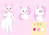 do a character sheet