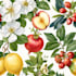 do a botanical illustration