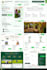 build custom full stack web application and websites