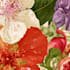 do a botanical illustration