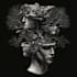 draw intricate antique engraving and etching artwork