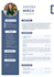 professional CV maker, linkedin resume, formatting and CV update