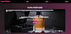 develop a responsive website using HTML CSS and aspnet