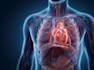 create a professional 3d medical animation, surgery, anatomy animation video