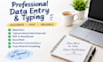 data entry  microsoft excel