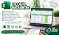do excel data enrty, data cleaning and fomatting