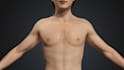 rig animate 3d rigging cc4, cc5, c4d rig mmd facial mmd models character