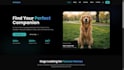 convert figma to responsive react js website
