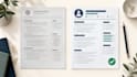 professionally rewrite and improve your CV or resume