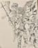 draw dark fantasy and medieval line art illustrations