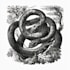 craft detailed antique style engravings and timeless etched