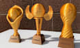 design custom 3d trophy, award, medal or cup stl models for 3d printing projects
