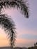 do professional and stunning photography