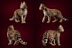make dog logo 3d dog model dog modeling animal and pet modeling