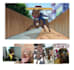 retratos personalizados de mascotas