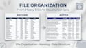 professionally format word documents, and organize files