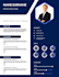 professional modern CV design