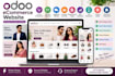 build and customize a professional odoo ecommerce website