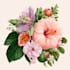 illustrate best botanical illustration