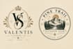 design a fantastic logo