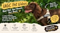 authentic pet ugc videos with my dog for your brand, products, and social media