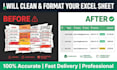 clean format and organize your microsoft excel sheet data