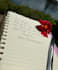 handwrite personalized letters, notes and thank you cards