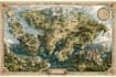 fantasy map design map illustration fantasy map