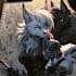 draw a custom furry character or fursona illustration