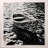 engraving linocut style digital drawing art