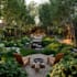 design and render 2d masterplan with landscape animation
