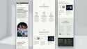design and develop modern websites