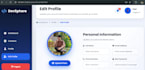 build a professional multi website development system
