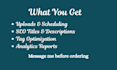 manage your youtube channel uploads and SEO