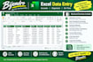 do accurate data entry, tally bookkeeping, excel and ms office tasks