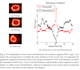 do image and object classification using matlab, python