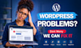 fix wordpress errors, bugs, issues, and website problems