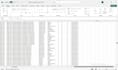 do professional data entry and excel services