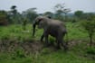 create a personalize uganda travel itinerary, trip plan 4 u