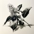 illustrate best botanical illustration