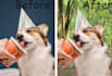 profesionally remove backrounds from photos