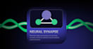 custom motion graphics and animated visuals