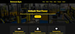 build a professional, responsive website for your business